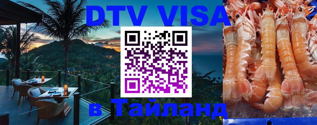 Оформление DTV визы под ключ: стоимость и тарифы, только загранпаспорт - 